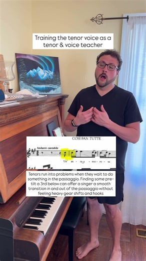 The Tenor Voice & C# #operasinger #tenor #voicelessons