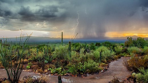 New monsoon predictions could help solve the water crisis in the west