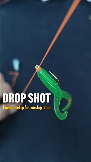 How to Set Up a Drop Shot Rig (Beginner Friendly Guide) #fishing #beginnerfishing #fishingtips