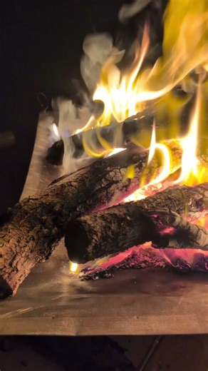 Sahara desert, nomad