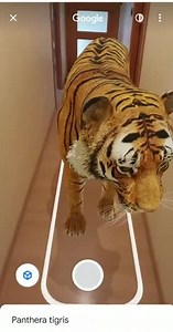 ¿Sabías que Google genera modelos 3D de animales que puedes integrar en tu casa con realidad aumentada?