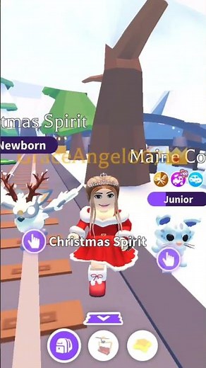 Adopt Me Christmas Spirit, Maine Coon Cat & Snowball Pug Pets!