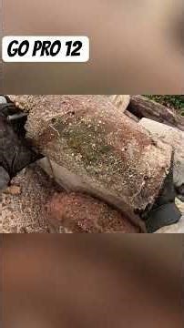 Work + GoPro Hero 12 #gopro #agro #farming