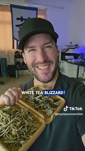 Moonlight white tea #tea #gongfutea #chinesetea #teatime Music:“Drone Flight, Chillstep & Abstact Music