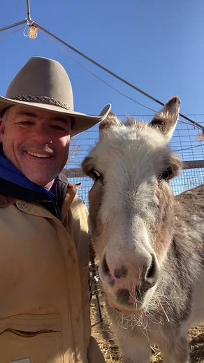 Aunt Daisy Update: Separated from New Baby Bonkey