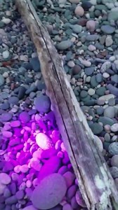 9.8K views · 59 reactions | Glowing, fluorescent 'Yooperlites' found around Lake Superior Erik Rintamaki discovered a rock that glows under an ultraviolet light made of a mineral never seen before in Michigan. Without knowing what they were or why the rocks glowed, he named them “Yooperlites,” so the story goes. | Now Science News | Facebook