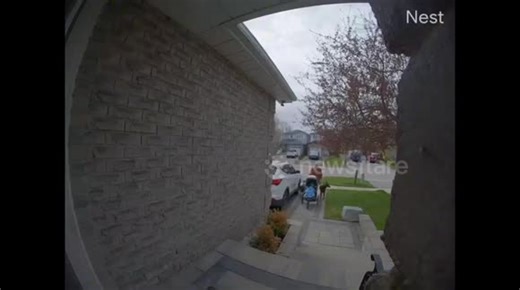 Doberman defends owner from attacking dog in Ontario, Canada