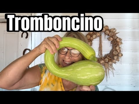 How to Properly Freeze Fresh Squash 