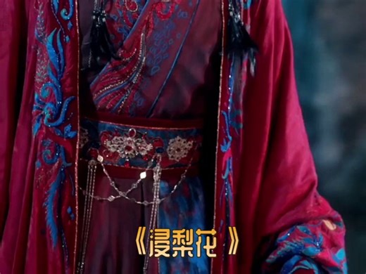 PDK-免费-河马-混剪剧情-浸梨花-251017-WBY-BJL (5)