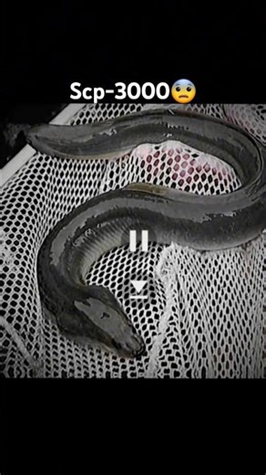 scp-3000