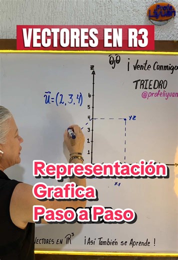 Vectores en el Espacio (R³): Representación gráfica del vector u=(2,3,4)🤓 #profeliyuan #asítambiénseaprende #matemáticaprofeliyuan #profeliyuanentiktok #vectoresenR³