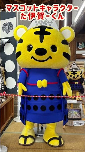 美しい伊賀上野城#伊賀上野城#白鳳城#伊賀忍者#三重県伊賀市#なるクマチャンネル #藤堂高虎#高石垣