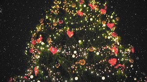 This Christmas, make memories that last a lifetime. Book your Winter Wonderland break today. | Center Parcs UK