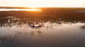 When delivering a speech via video at the opening ceremony of the 14th Meeting of the Conference of the Contracting Parties to the Ramsar Convention on Wetlands (#COP14), President #XiJinping vowed #China will pursue modernization of harmony between humanity and nature, promote high-quality development in the #wetlands conservation cause and promote international exchanges and cooperation. #EcoChina | Xi's Moments
