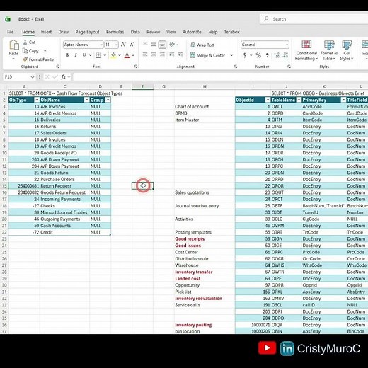 OCFX vs OBBO Tables in SAP Business One | Object Names Explained