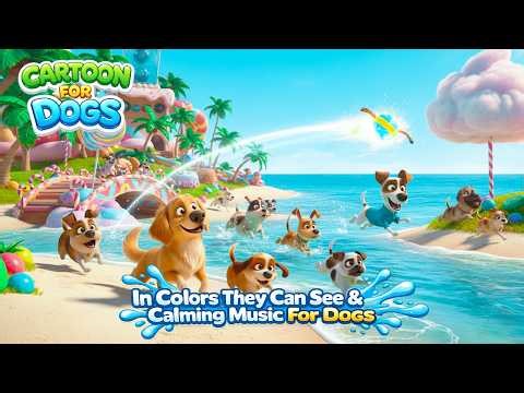 24 Hours Dog Cartoon 🐾🍭 Blue & Yellow in Colors Dogs Can See | Funny & Entertaining Videos for Dogs