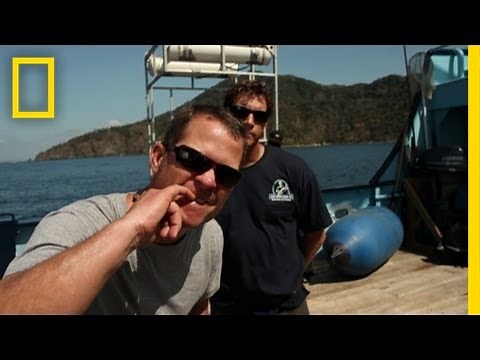 Meet the Shark Men: Chris | National Geographic