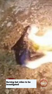 8.6K views · 36 reactions | CNC3 NEWS BRIEF Download our new app!  www.cnc3.co.tt/app | CNC3 Television, Trinidad and Tobago | Facebook