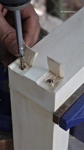 Tips for hiding screws when joining wood #shorts