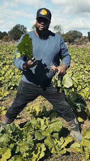 1K reactions · 54 shares | Good morning what a beautiful day to come get you some greens See yall at 9a.m. and again at 3p. (Last day this week) | Timothy ComedianTimbo Shead | Facebook