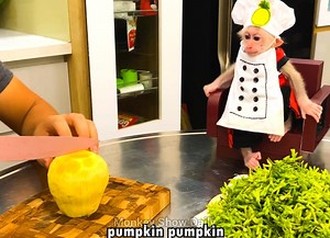 9.1K views · 651 reactions | Yummy dishes look so good Chef BiBi monkey cooking " Fried beef with pumpkin and tonkin creeper " | Monkey Show Daily | Facebook