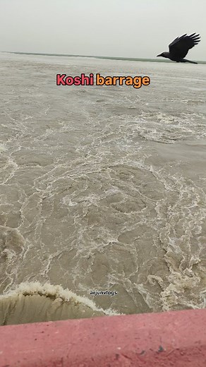 5.4K reactions · 137 shares | Koshi barrage  | . .. ... | Arjun Vlogs | Facebook