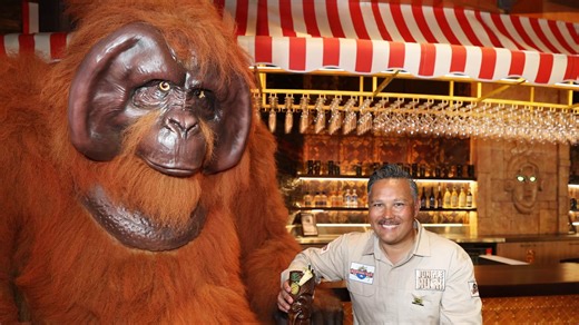 First look: Inside theme park’s ‘most immersive’ new experience