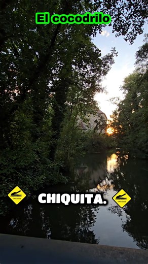 El cocodrilo , #humor #cocodrilo #comedia