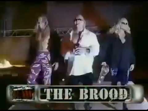 The Brood vs D-Generation X 6-Man Tag Team Match (WWF Raw 11/2/98)