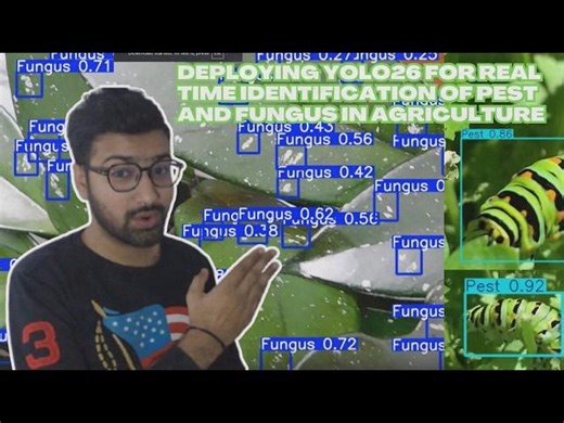 Deploying YOLO26 for Real Time Identification of Pest and Fungus in Agriculture | Pyresearch