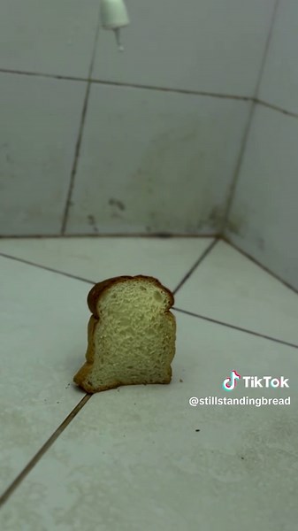 The Essential Guide to Different Types of Bread