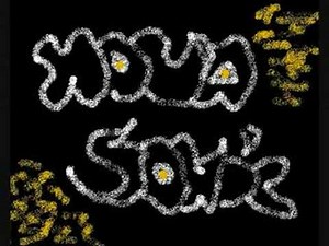 Novasonic-The Fiction