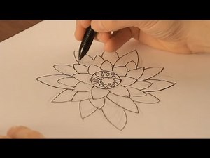 Cómo dibujar una flor de loto : Dibujos de la Naturaleza