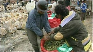 Bolivia raids 'huge cocaine lab'