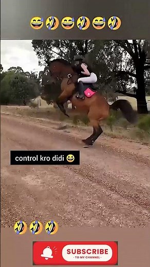 Part 2 😂😂 epic funny videos 🤣🤣#funnydoes #shorts #youtubeshorts comedy #funny