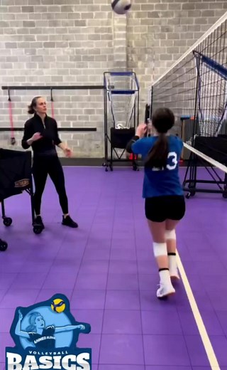64K views · 280 reactions | Volleyball Basics on Reels | Facebook