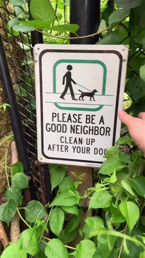 2.1K views · 1.2K reactions | It’s a Pinball Wizard! (Geocache!) #geocaching #geocache #gadgetcache #pinballwizard | The Geocaching Vlogger | Facebook