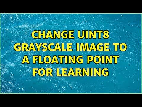Change uint8 grayscale image to a floating point for learning