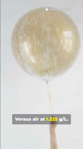 Why Do Helium Balloons Float But Air Filled Ones Don't? 🎈