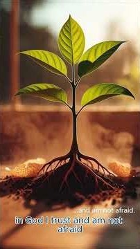 150 Days of Psalms: Psalm 56 #jesus #motivation #prayer #faith #christianprayer#psalms