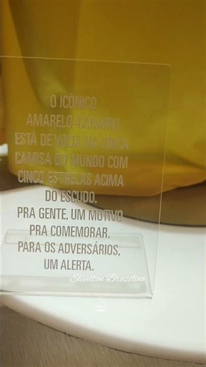OFFICIAL BRAZILIAN NATIONAL TEAM JERSEY #braziljersey #nationalteamjersey #centauro #nationalteam...