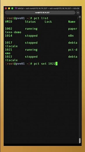 Set options on your Proxmox Containers from the CLI