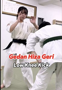 下段膝蹴り技術解説