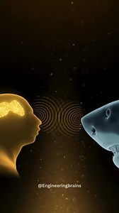 60K views · 609 reactions | Scientists have discovered that humans...