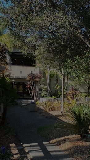 You can still apply for Spring '26 for most majors at Dominican -- including Chemistry! Start in January and experience what hands-on research opportunities with dedicated mentors can do for you. | Dominican University of California