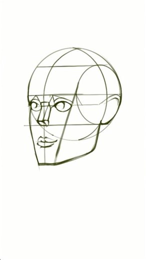 Wir beginnen gemeinsam zu lernen, einen Kopf zu zeichnen.#zeichnen #pensil #procreate #lernen