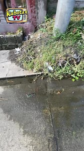 Clean-up Drive again mga ka botaks para sa inyong lahat | Kabotax TV