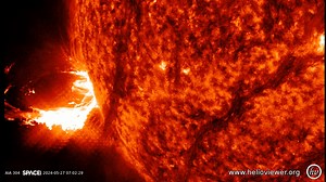 45K views · 784 reactions | Sunspot AR3664 blasted an X2.9-class...