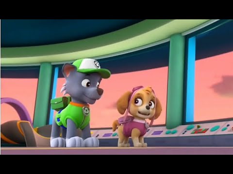PAW Patrol: Skye Wants to Help Save Ace Sorenson.