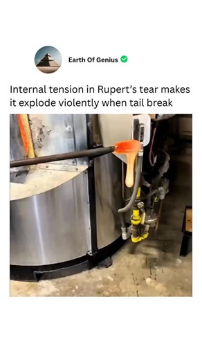 Earth Of Genius on Instagram: "Prince Rupert’s drop, also called Rupert’s tear, forms when molten glass falls into very cold water. Rapid cooling creates high compressive stress on the outer surface, making the head extremely strong and resistant to impacts. The interior cools more slowly, producing high tensile stress along the center, which makes the tail very fragile. When the tail is broken, the tensile stress is released instantly, sending shock waves through the glass and causing the entir